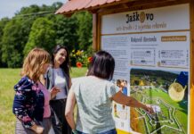 Čuvarice ruralnog srca: Kako tri iznimne žene kroz Zakladu Zora mijenjaju viziju održive budućnosti